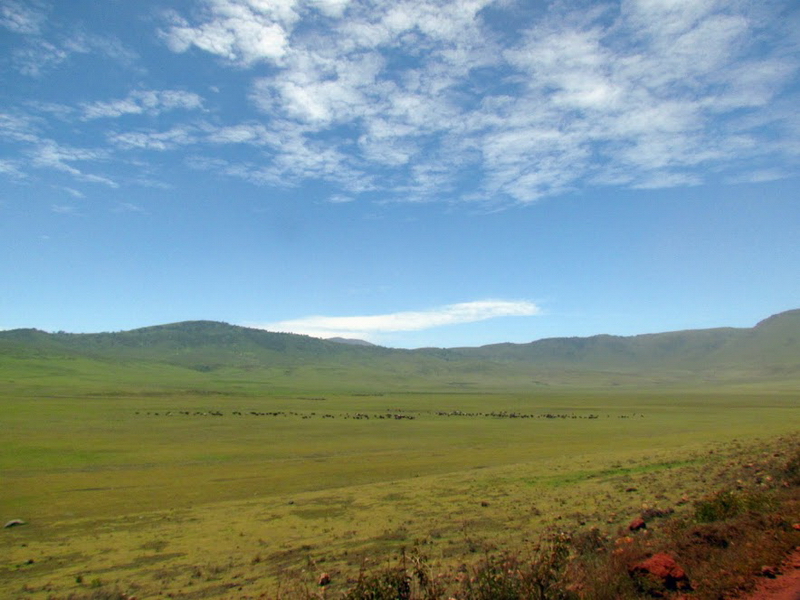 Serengeti-8