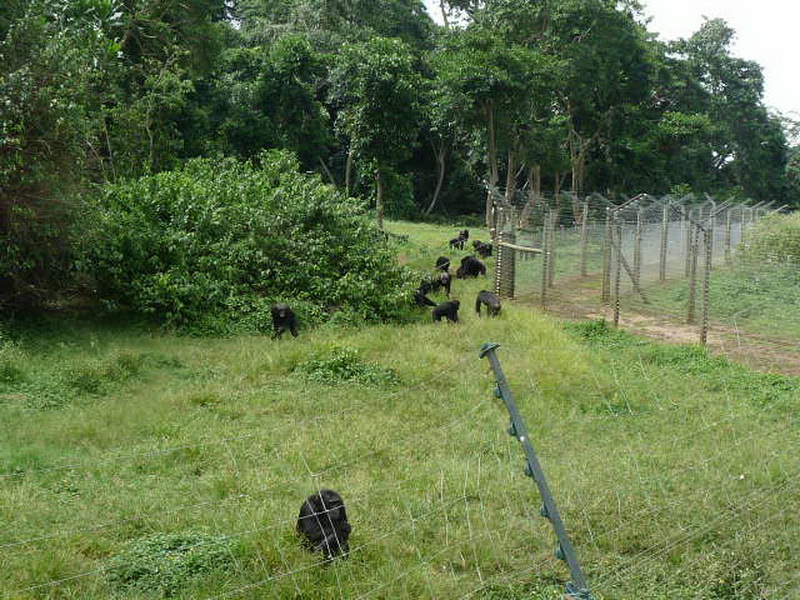 Kampala-1