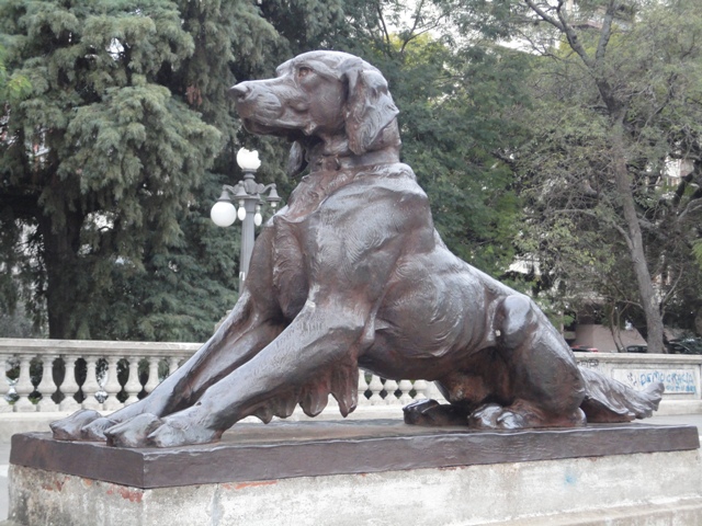 Porto Alegre-6