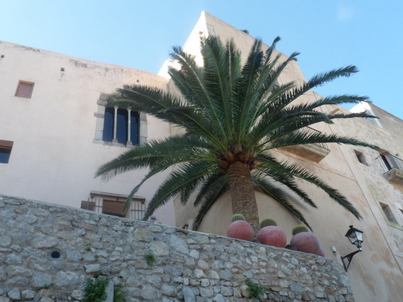 İbiza-1