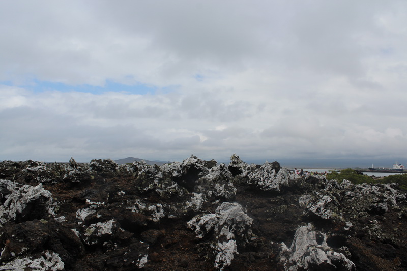 Galapagos Adaları-9