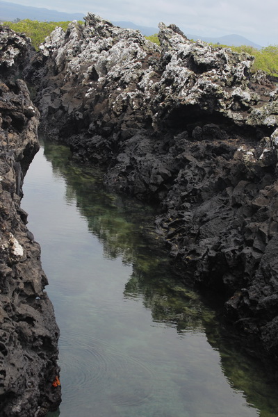 Galapagos Adaları-12