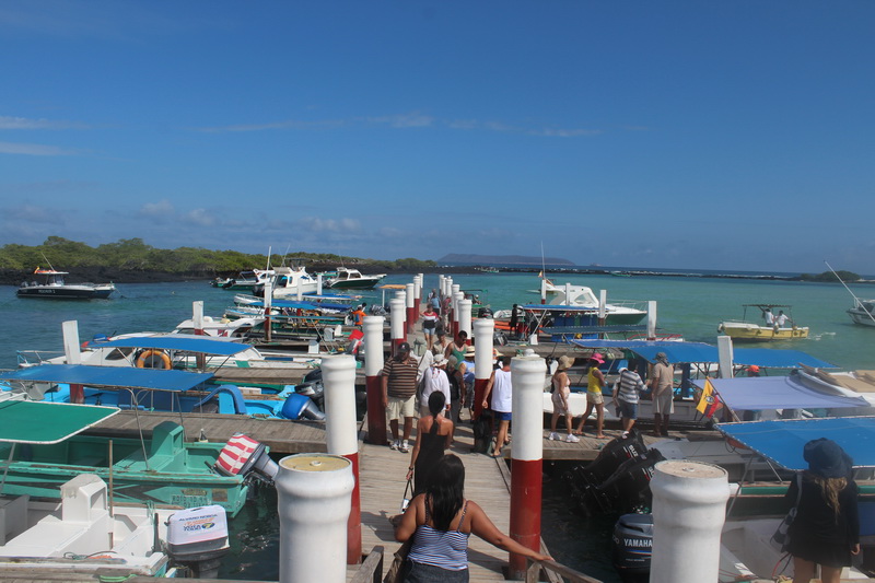 Galapagos Adaları-17