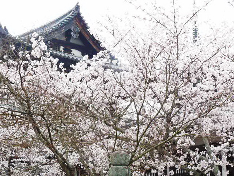 Tokyo-7
