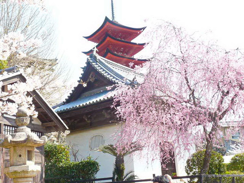 Kyoto-3