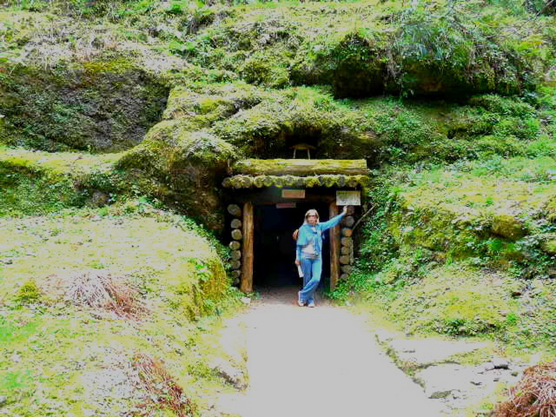 Kyoto-4