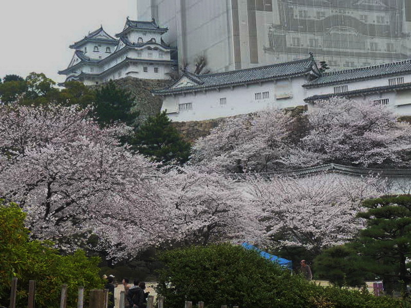 Kyoto-11
