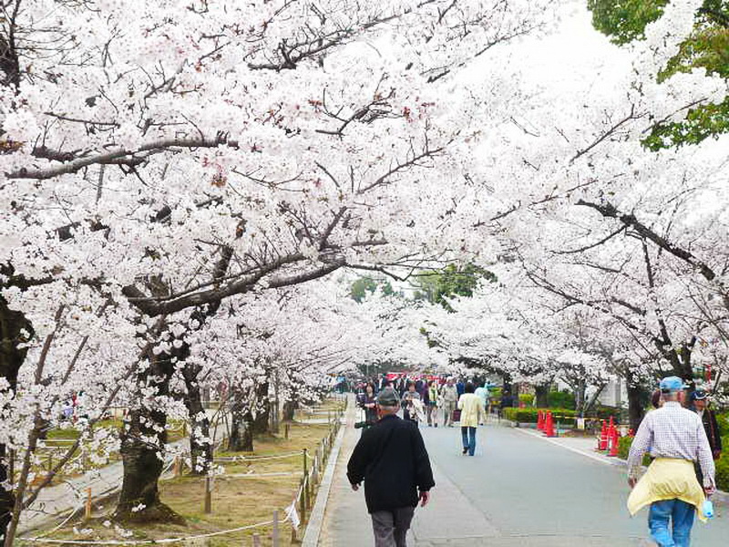 Tokyo-2