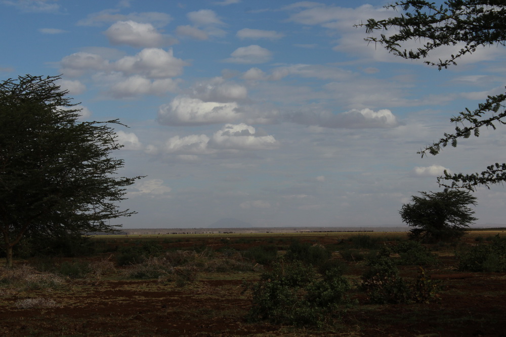 Lake Manyara-7