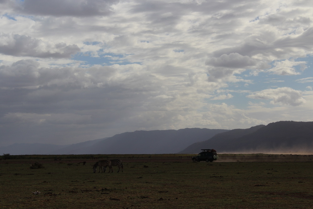 Lake Manyara-9
