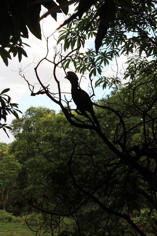 Lake Manyara-1