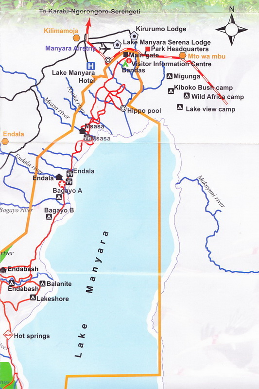 Lake Manyara-2