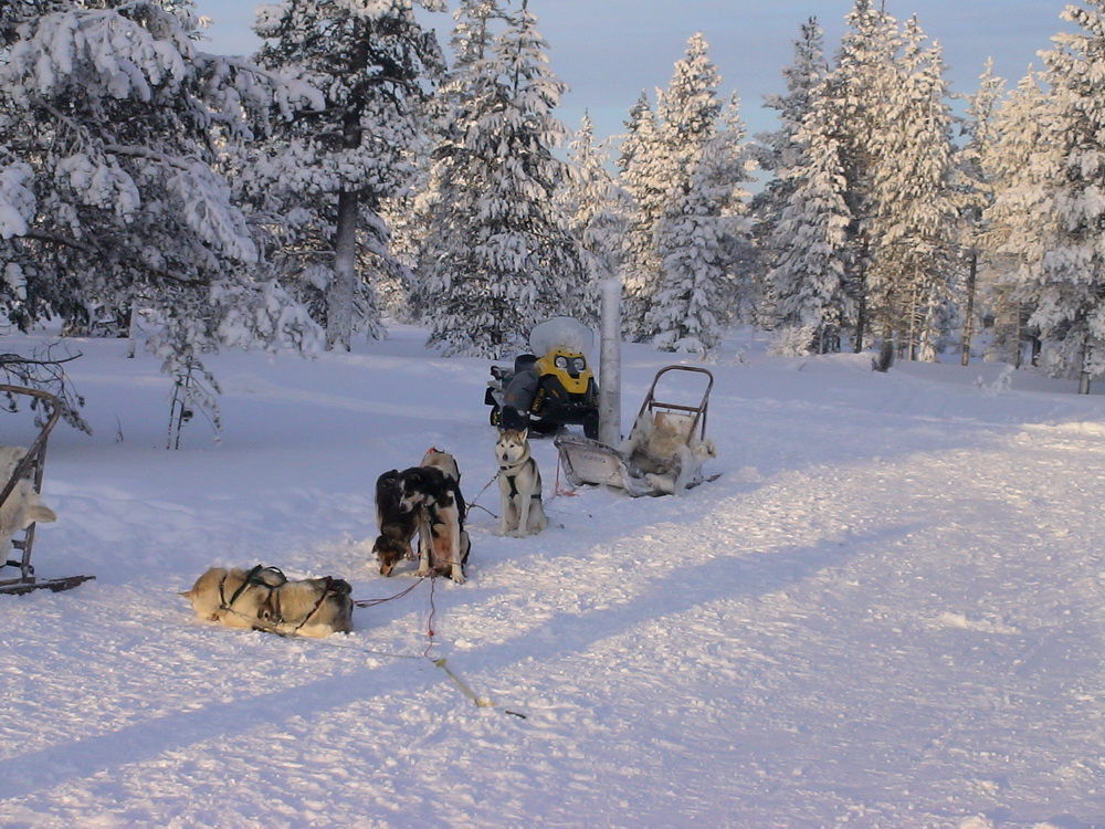 Laponya (Lapland)-2