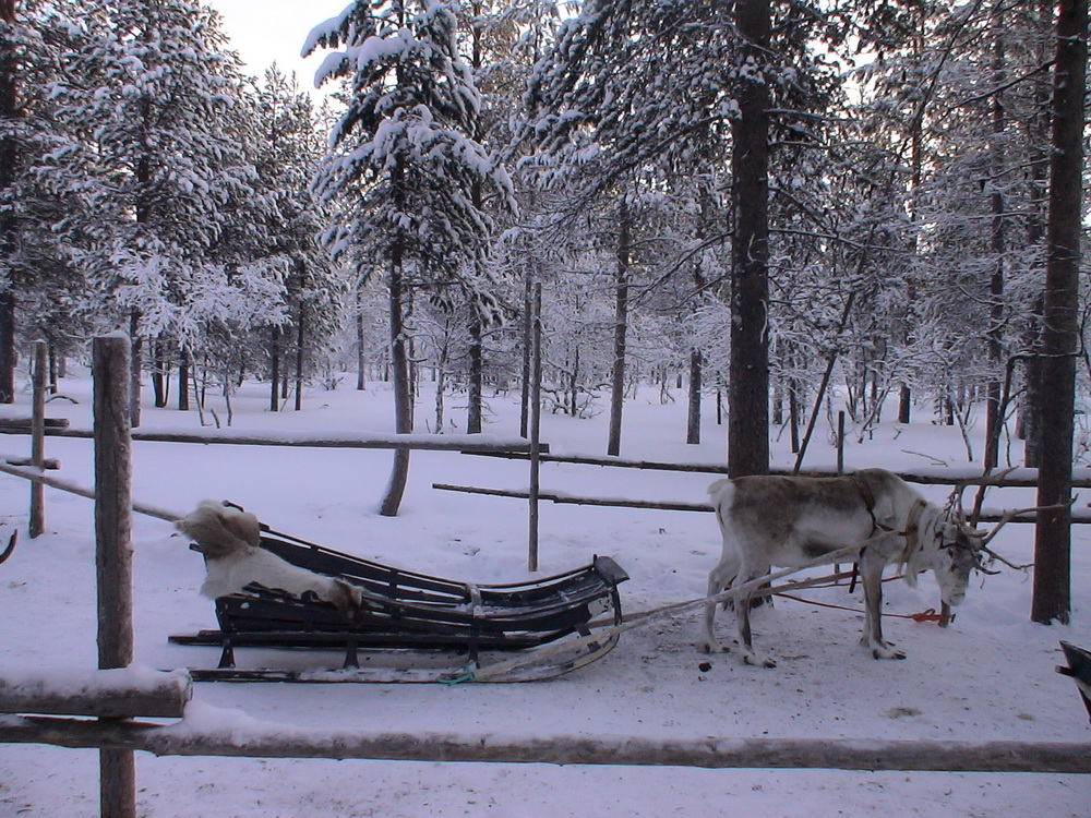 Laponya (Lapland)-3