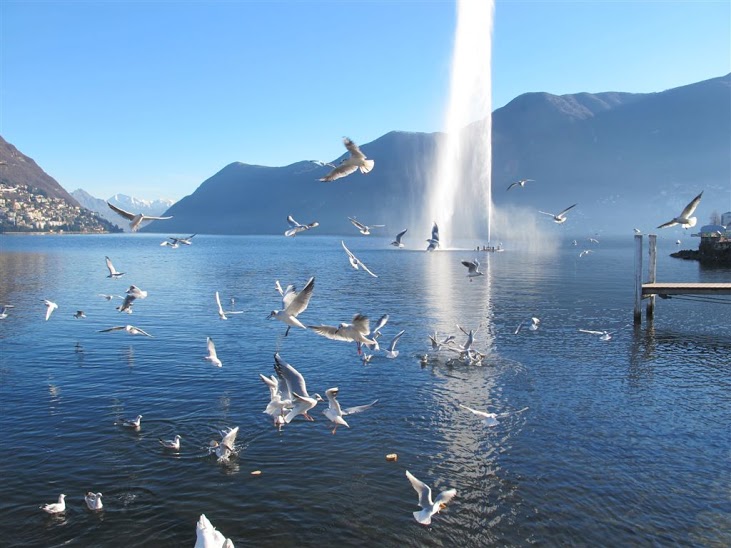 Lugano-3