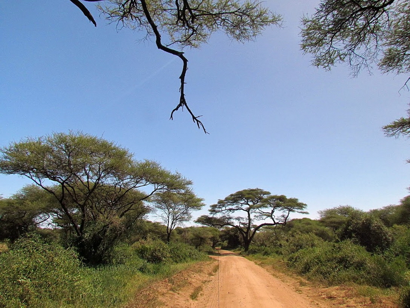 Lake Manyara-3