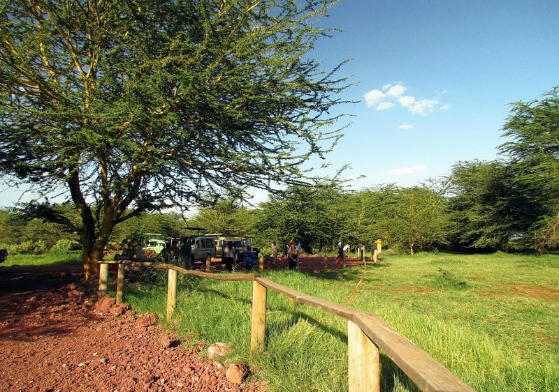 Lake Manyara-8
