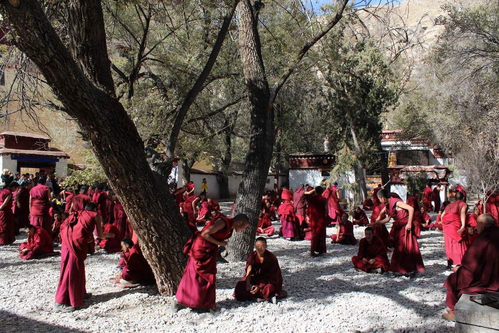 Lhasa-2