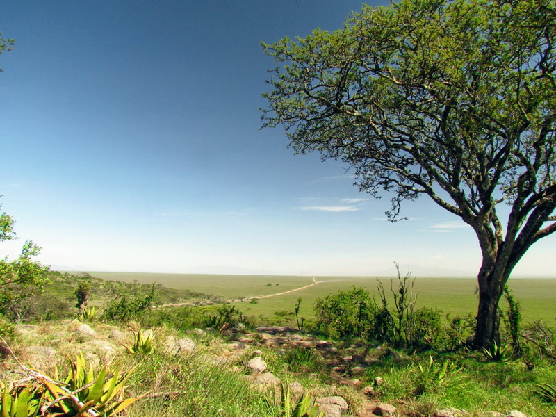 Serengeti