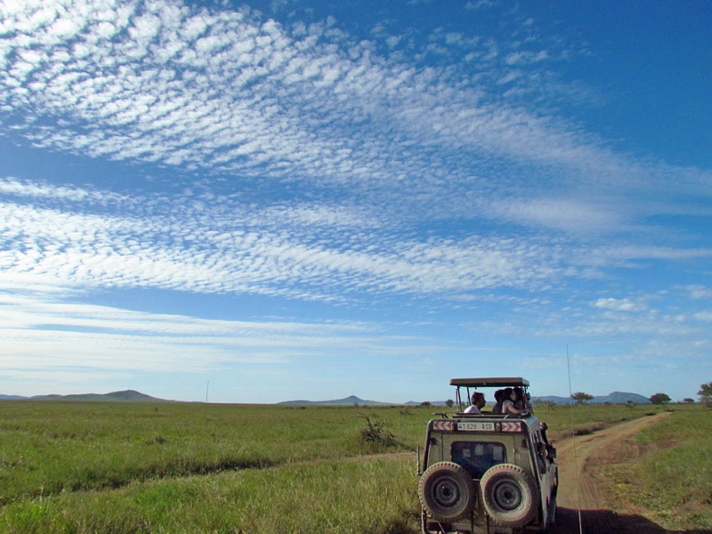 Serengeti-2