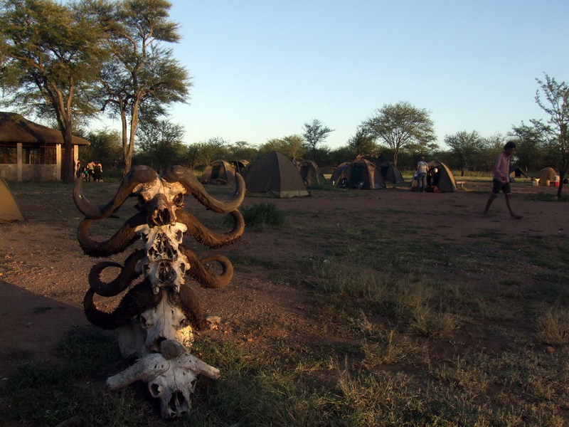 Serengeti-4