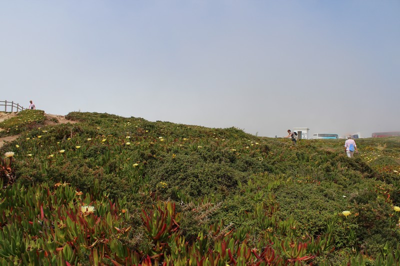 Sintra-4