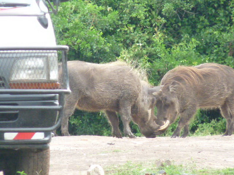 Kampala-1