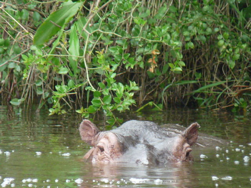 Kampala-8