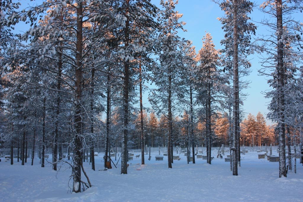 Laponya (Lapland)-2