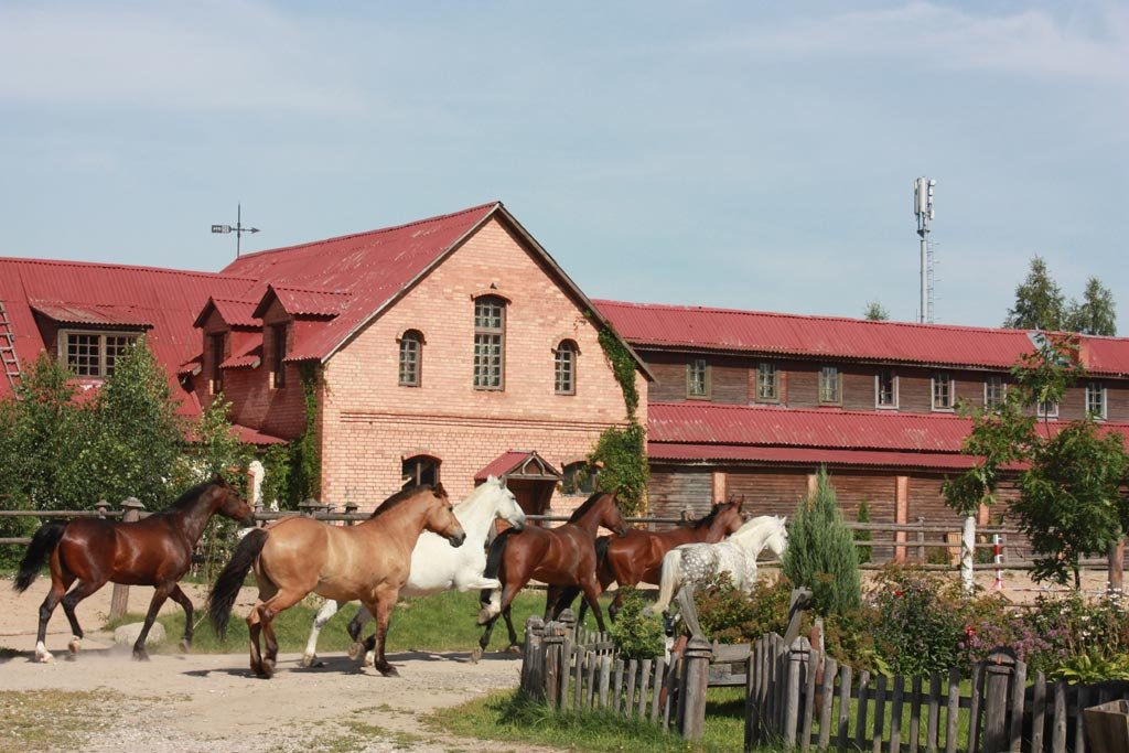 Minsk-2