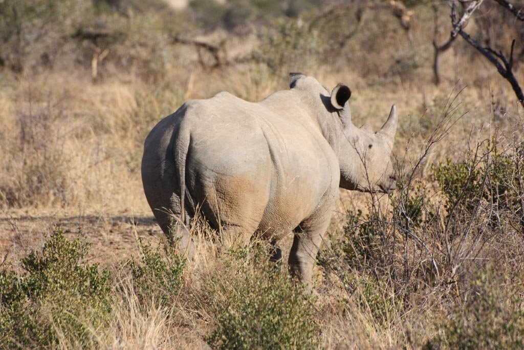 Pilanesberg-2