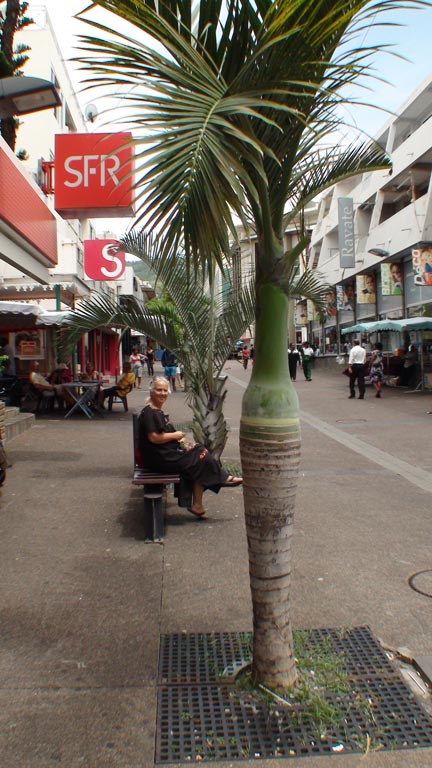 Saint - Denis-1
