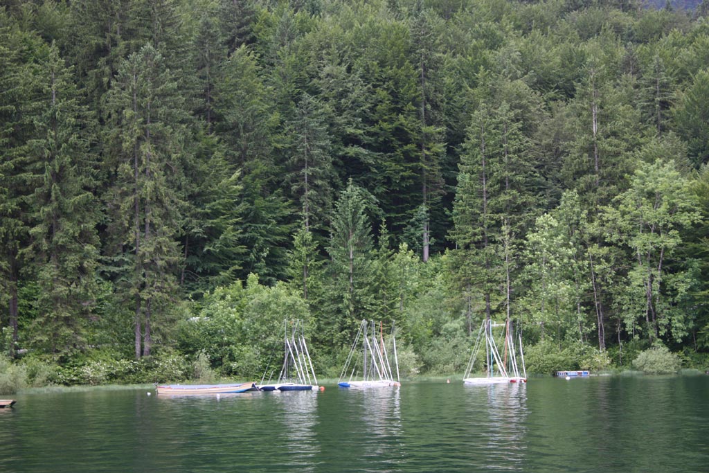 Bohinj