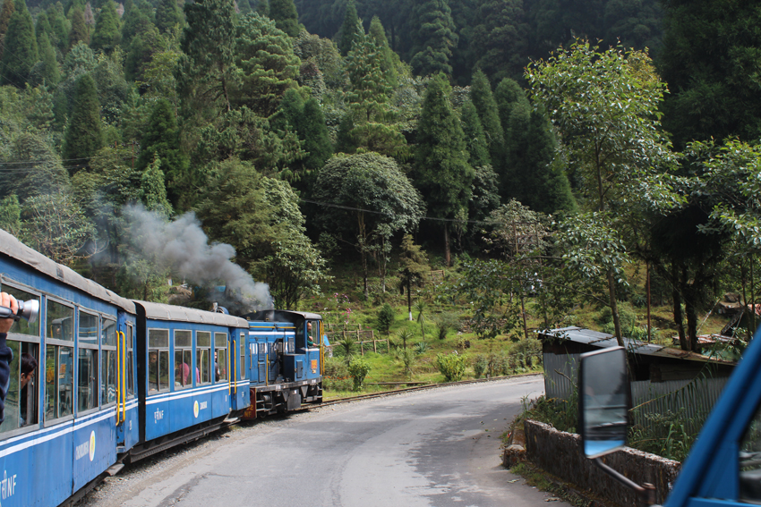 Darjeeling-1