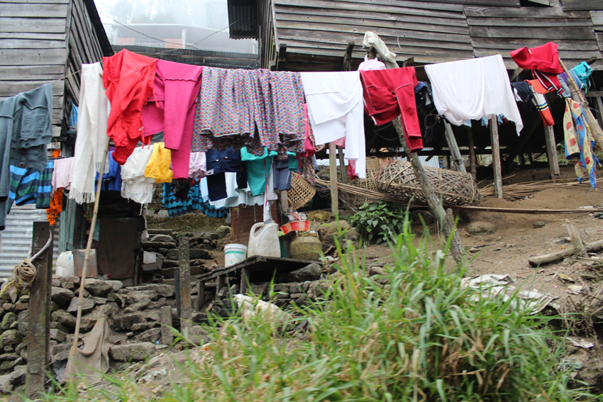 Darjeeling-4