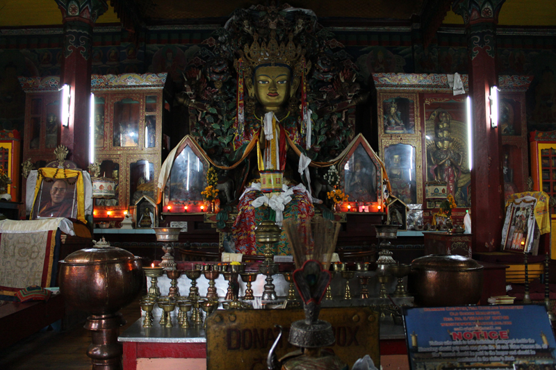 Darjeeling-1