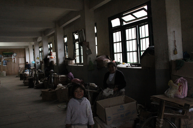 Darjeeling-6