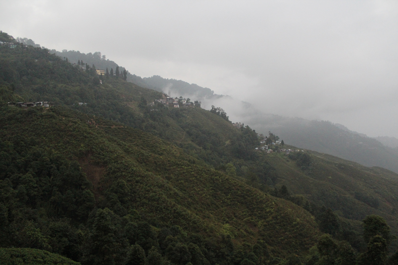 Darjeeling-1