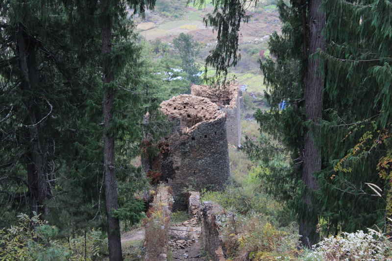 Paro-2