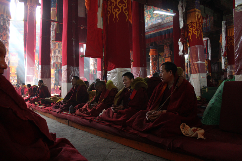 Lhasa-1