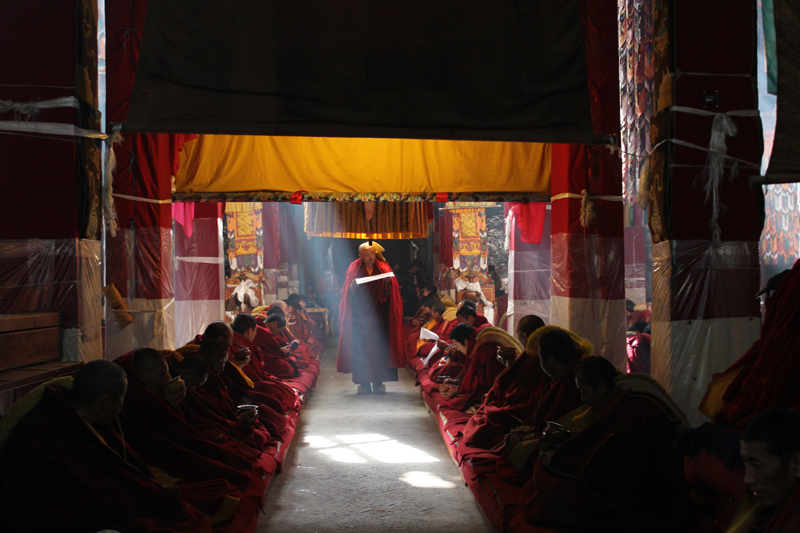 Lhasa-3
