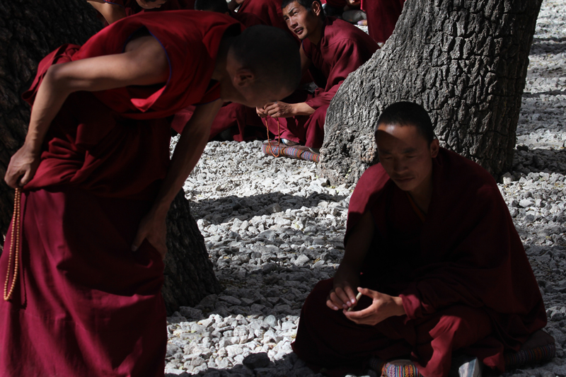 Lhasa-5