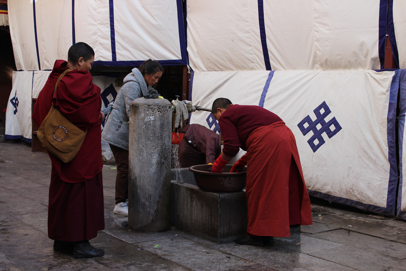 Lhasa-3