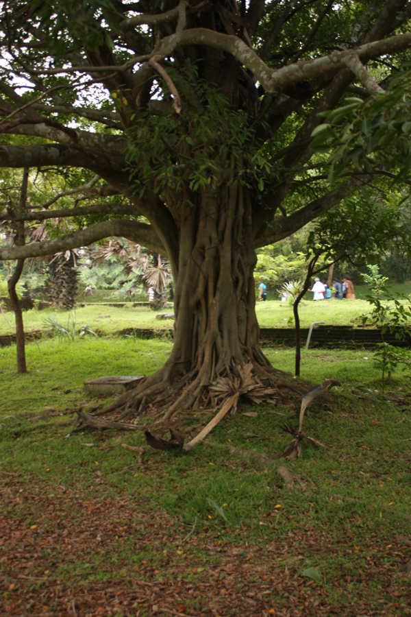 Polonnaruwa-1