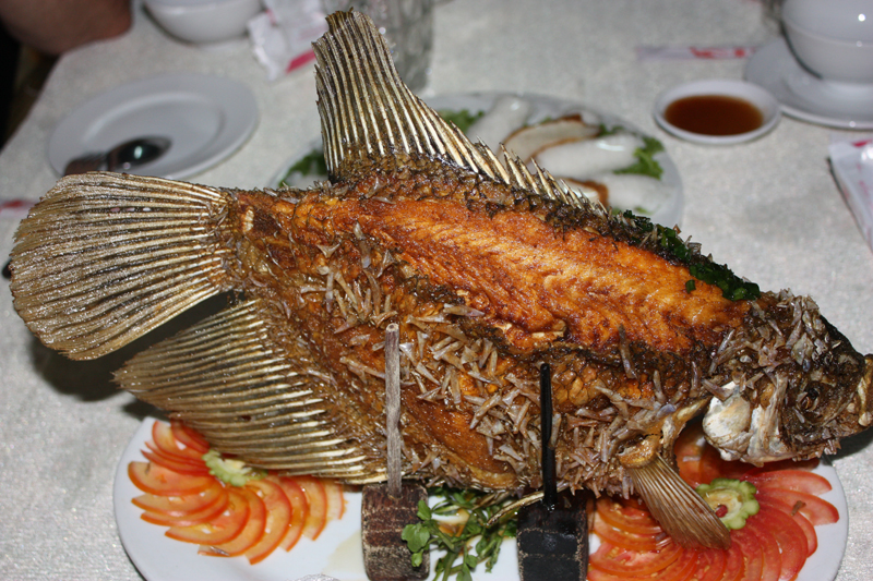 Mekong Delta-7