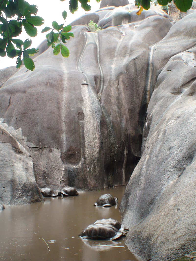 La Digue Island-2