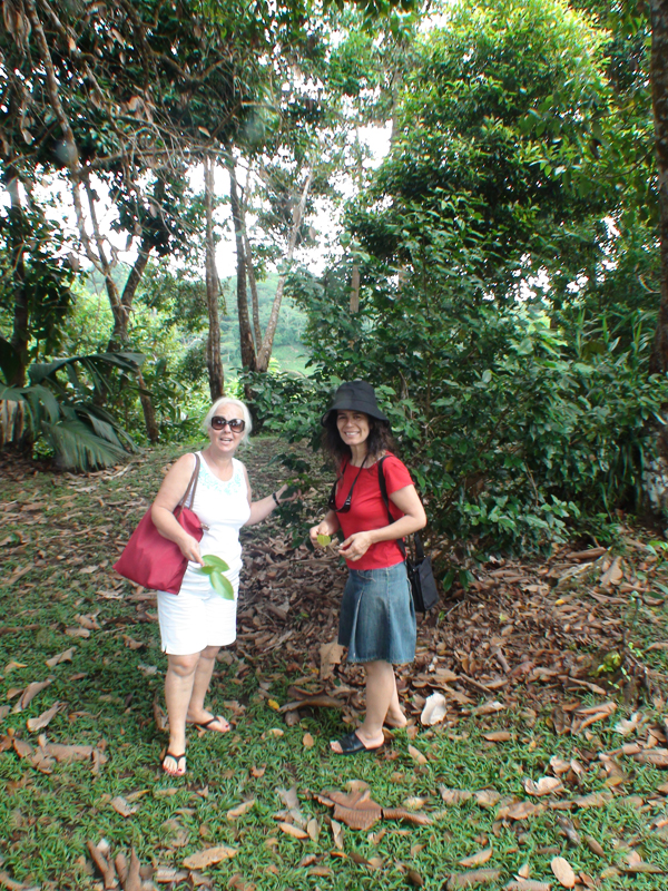 Victoria (Mahe Island)