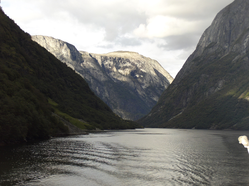 Flam-4