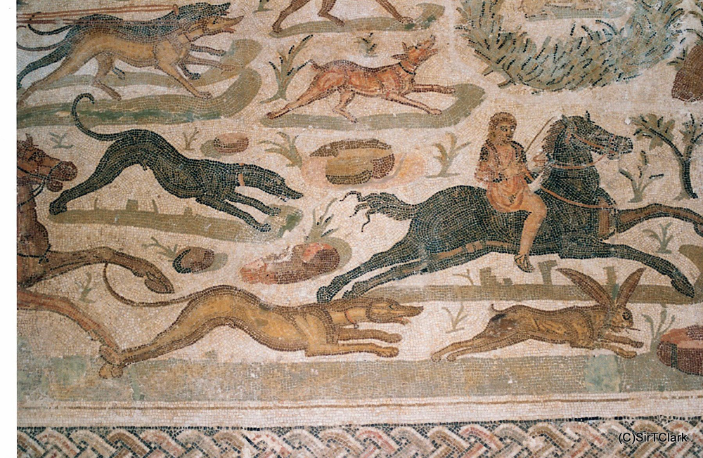 Tunus Şehri-2